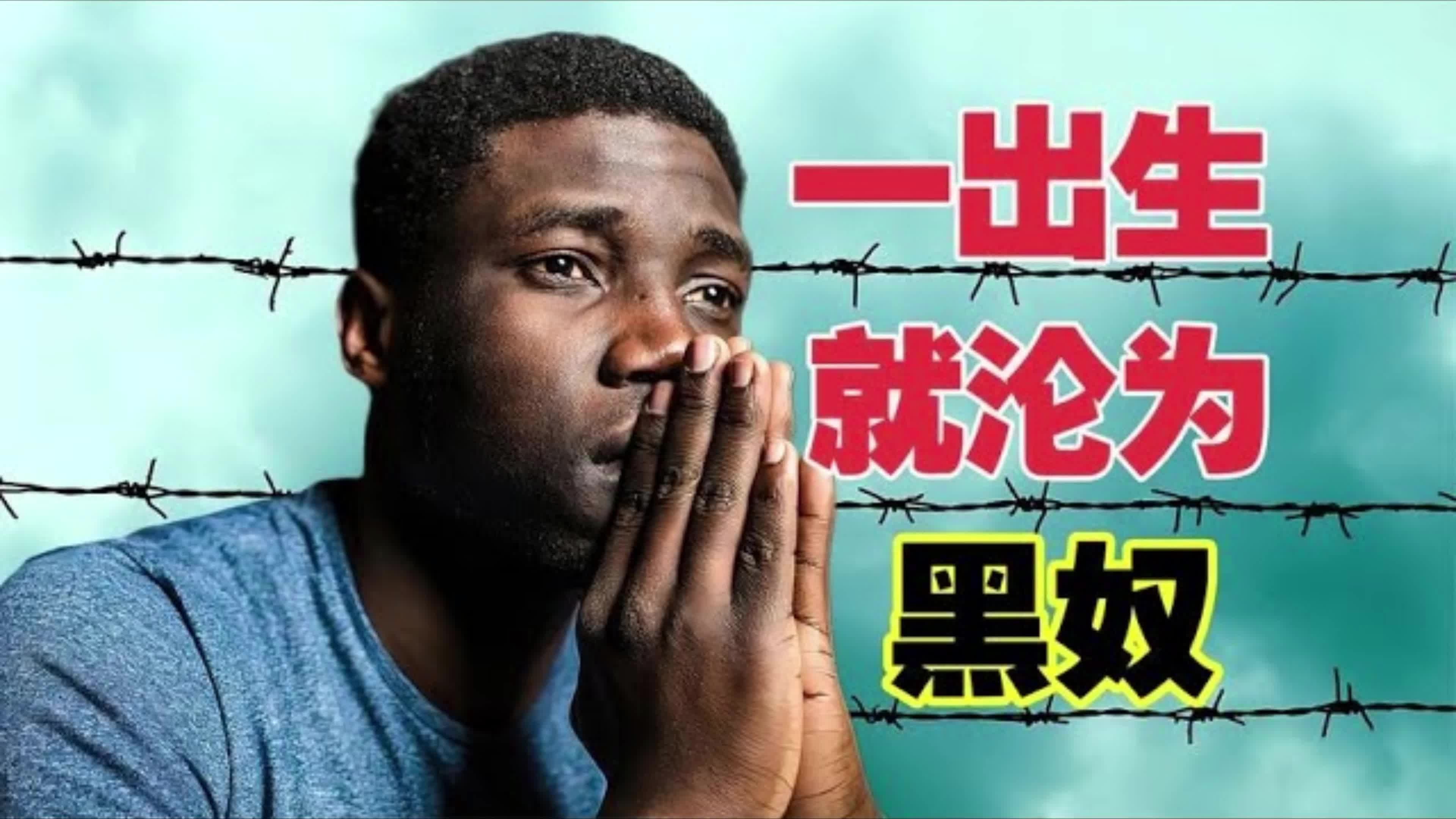 17世纪黑人一出生就沦为白人的奴隶哔哩哔哩bilibili