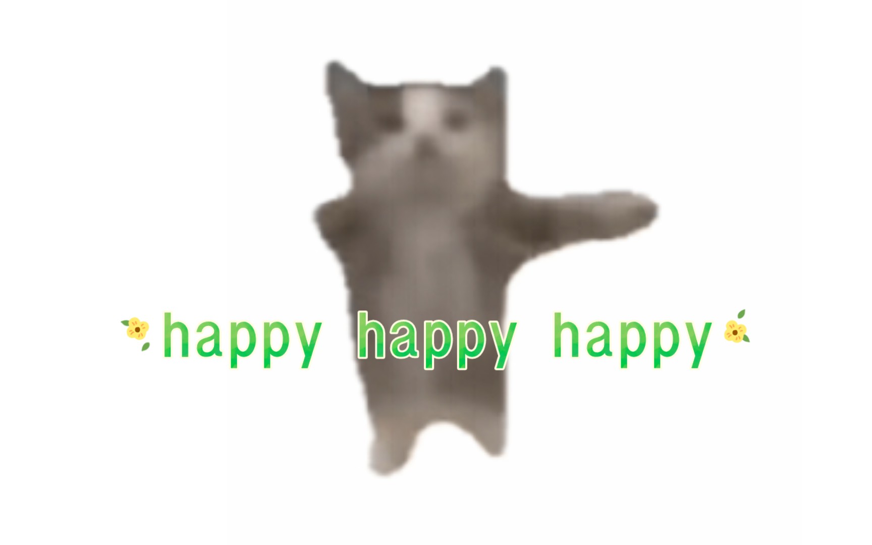 【记录向】年轻人第一款happy猫