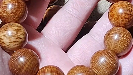 帮粉丝兄弟找太行崖柏蚂蚁腿
