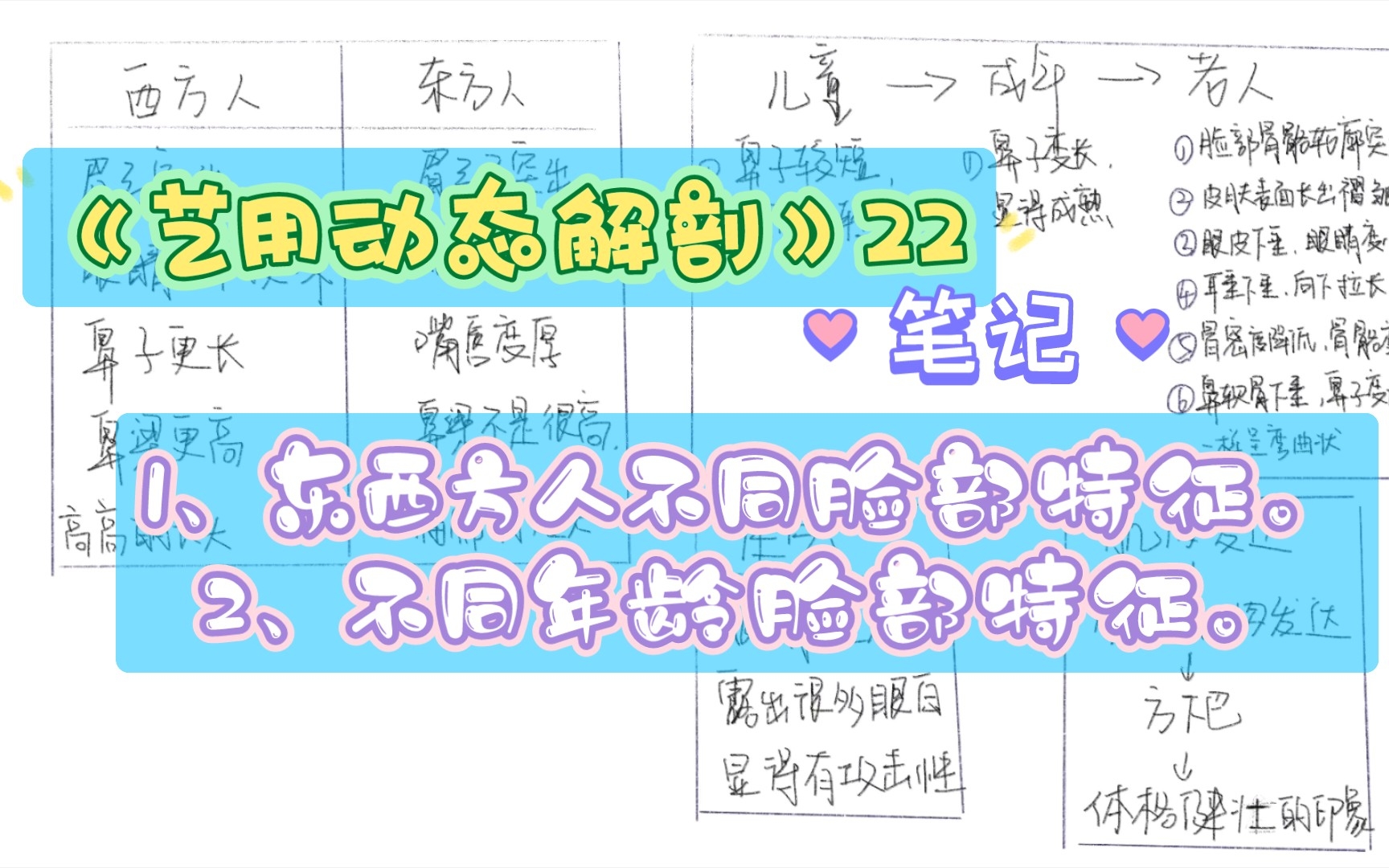 [图]《艺用动态解剖》22 笔记｜东西方人脸部特征、不同年龄脸部特征
