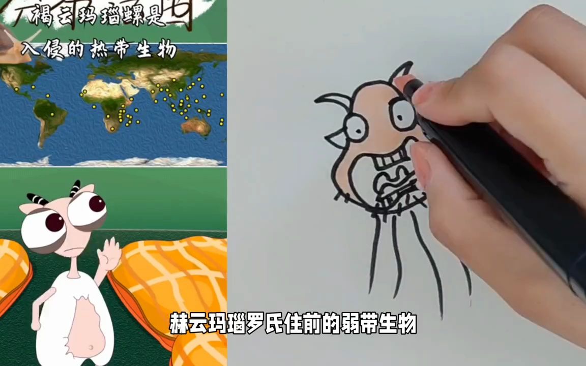 好大的蜗牛壳,来看看漫画学画画吧!哔哩哔哩bilibili