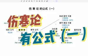 Download Video: 原来伤寒论里面是有公式的