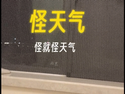 【浅唱】怪天气|好难唱的一首歌