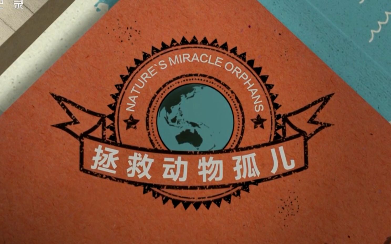 央视拯救动物孤儿12季7集1080p