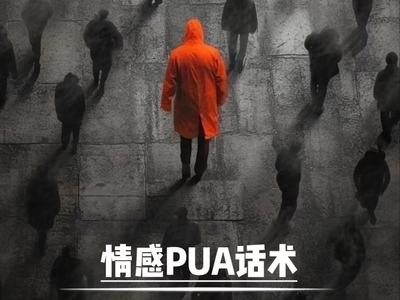 和陌生人说话pua，和陌生人说话第三季全集