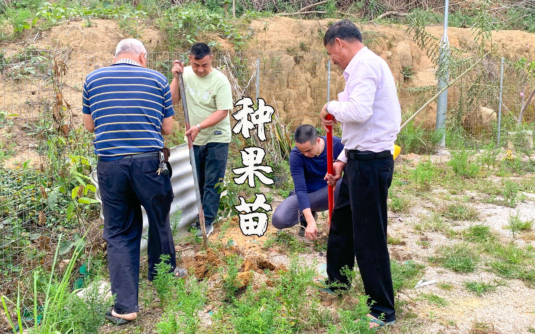 花700多淘来的果苗,叫上兄弟们一起来帮忙种,期待春暖花开哔哩哔哩bilibili