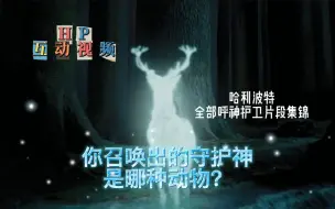 Download Video: [哈利波特互动视频]你召唤出的守护神是哪种动物？ 呼神护卫片段大合集