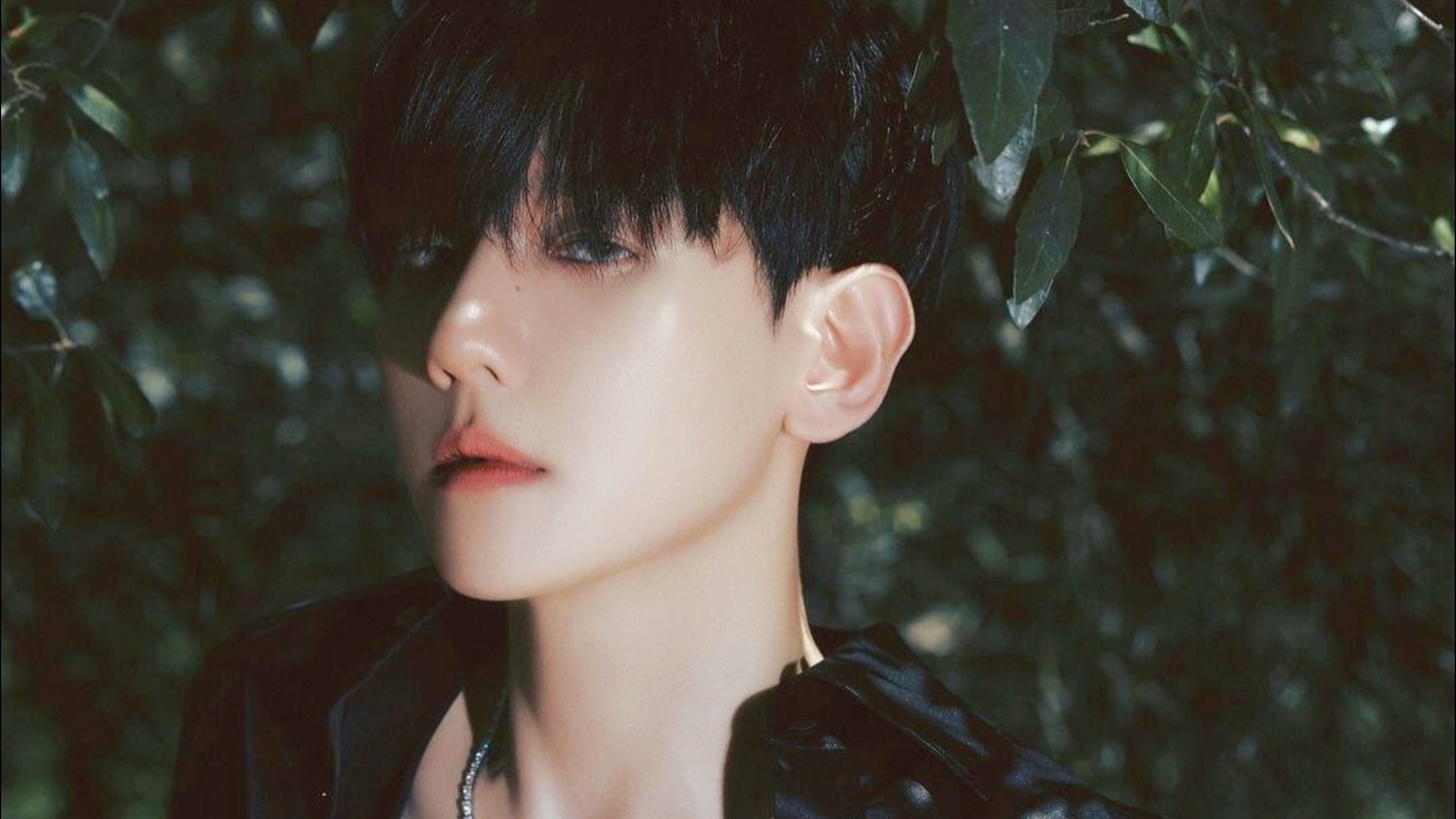 有谁会不喜欢菠萝派吸血鬼的设定