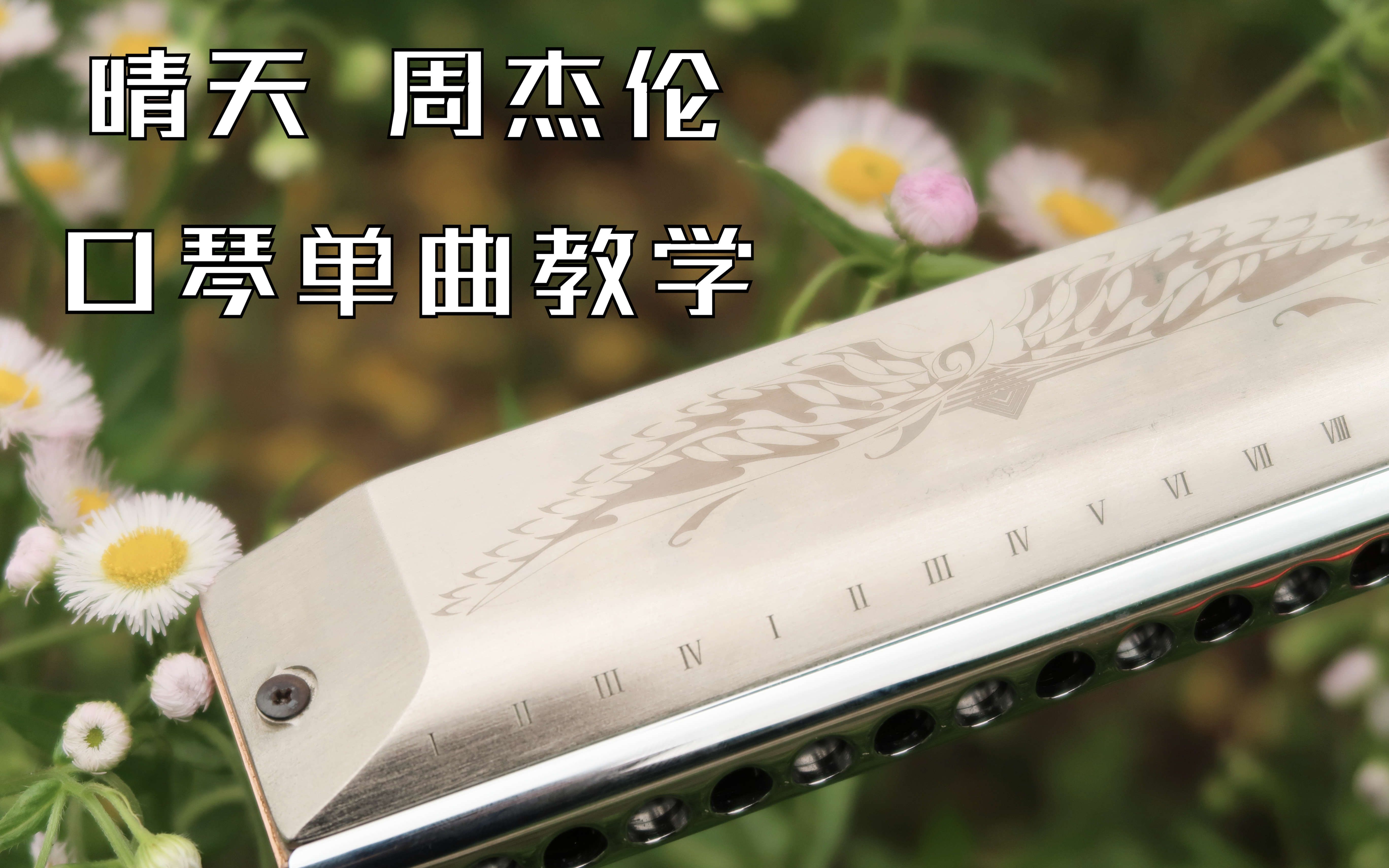 口琴新手单曲教学之十:晴天 周杰伦 好听又好学