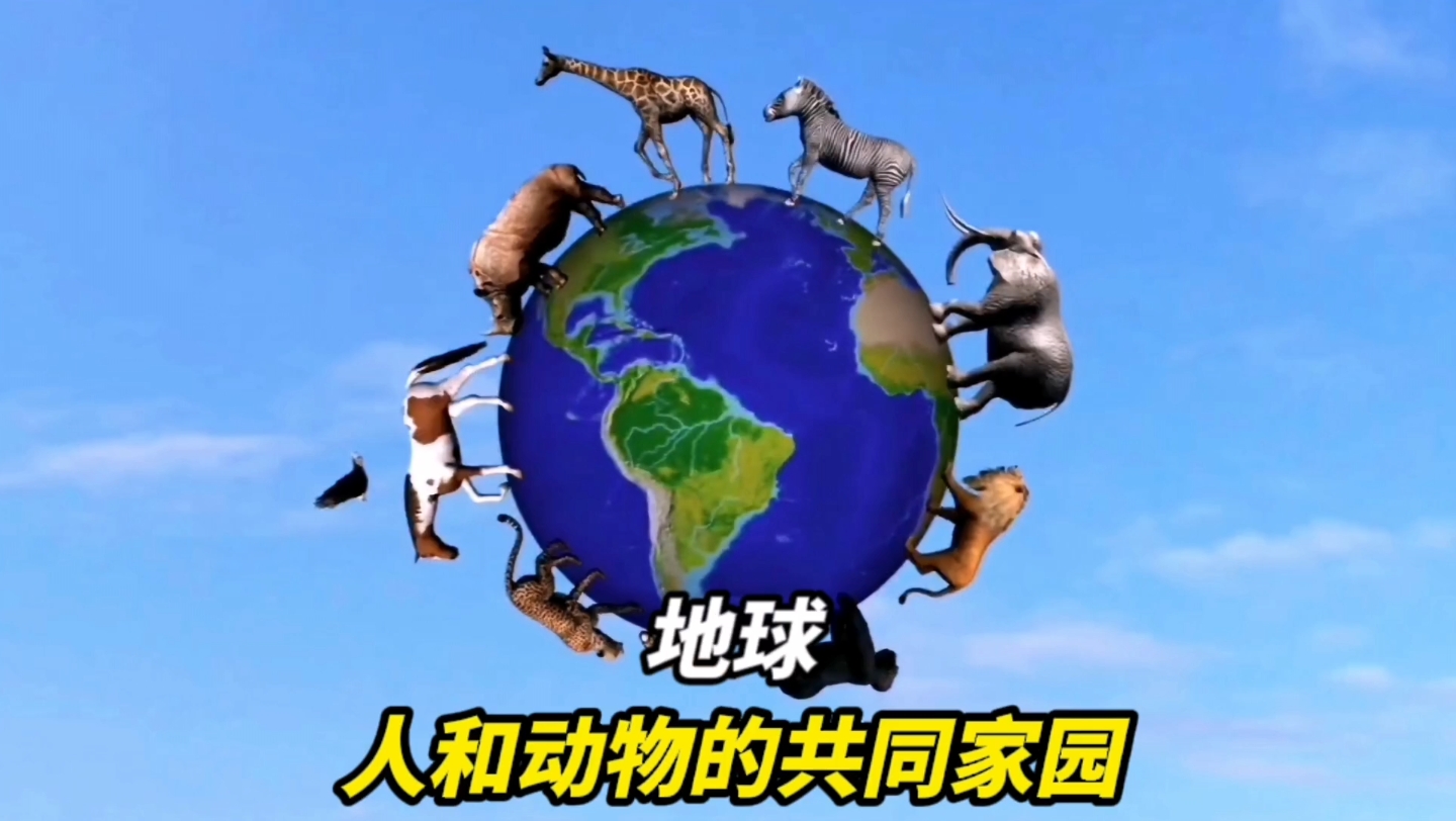 地球 人和动物的共同家园