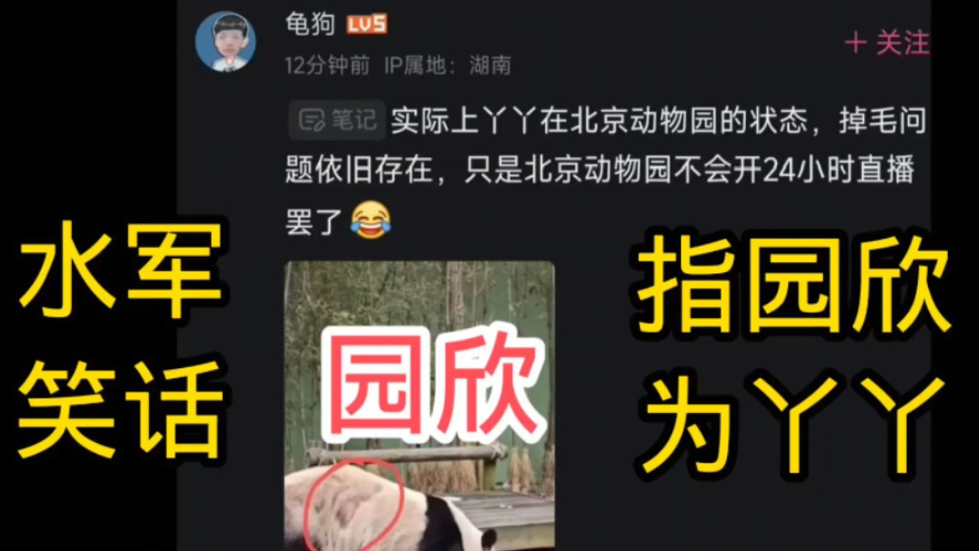 爬行天下虽然膝下无子,但是有一群孝顺的好水军呀!哔哩哔哩bilibili