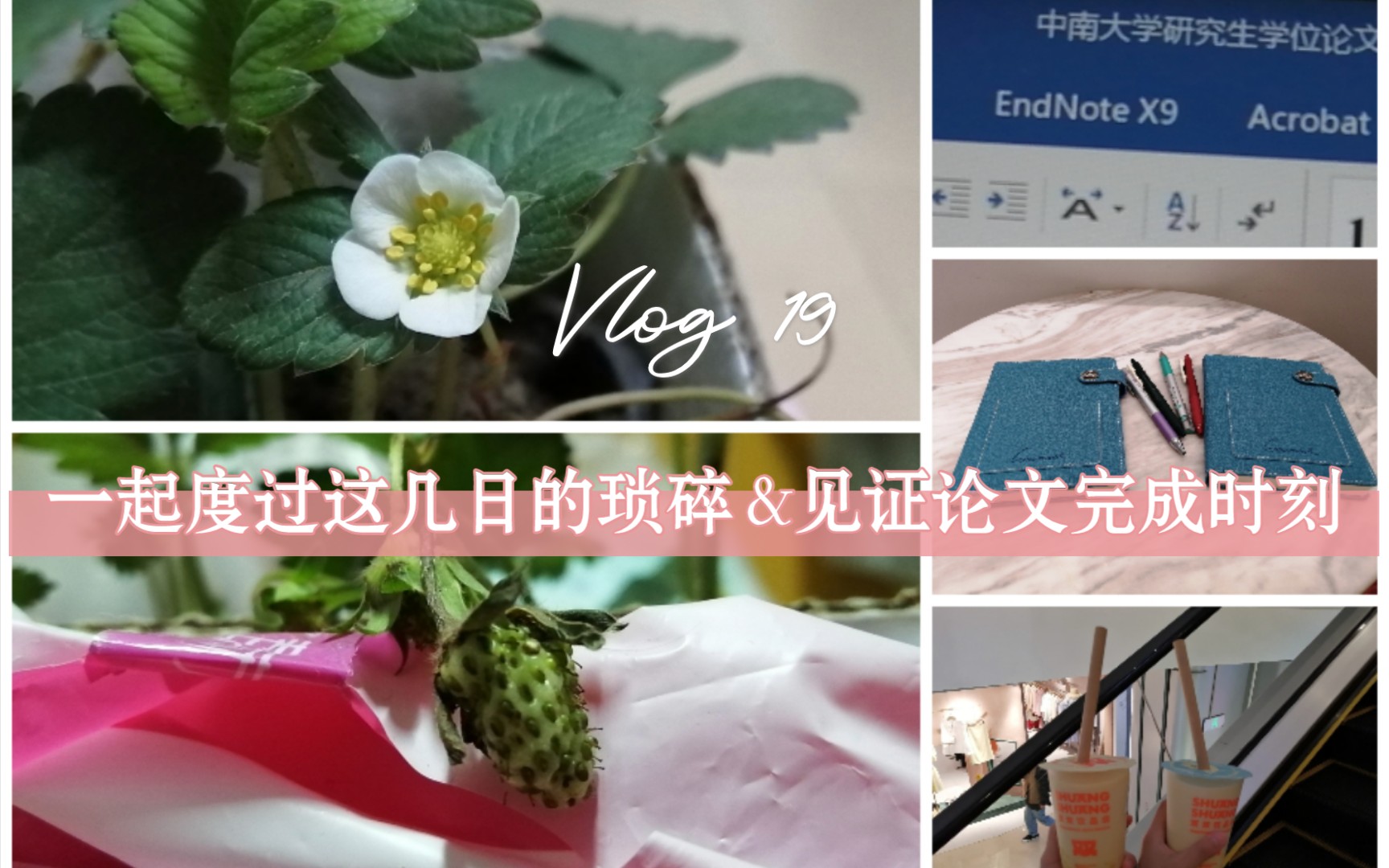 研究生最后一学期Vlog 19:毕业论文写完+格式整好+这几日的琐碎哔哩哔哩bilibili