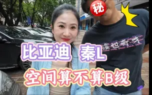 Download Video: 秦L的空间算不算B级车