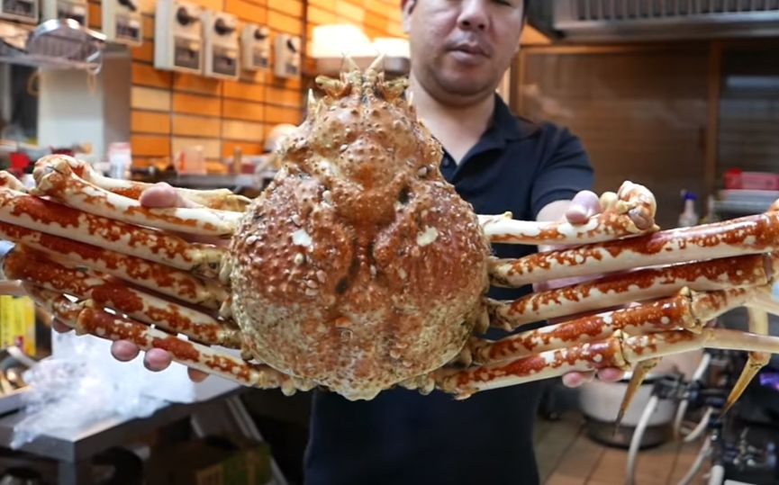【巨大蜘蛛蟹?松叶蟹?