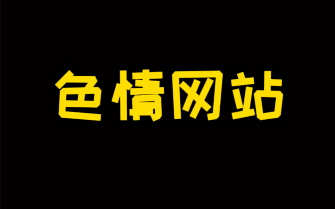 偷偷浏览色情网站会被网警抓起来吗?哔哩哔哩bilibili