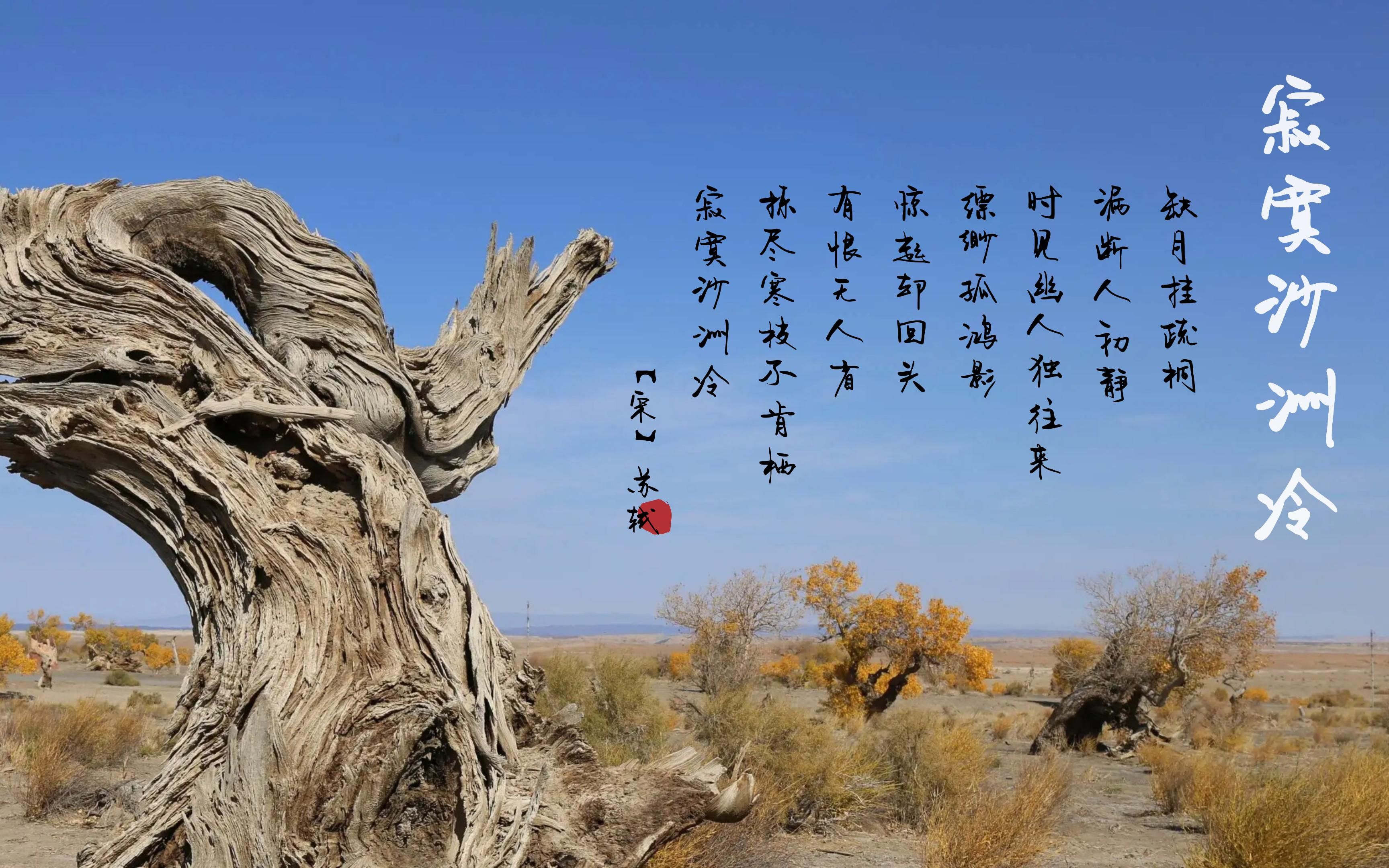 【十孔口琴】寂寞沙洲冷-2023兔年大吉!