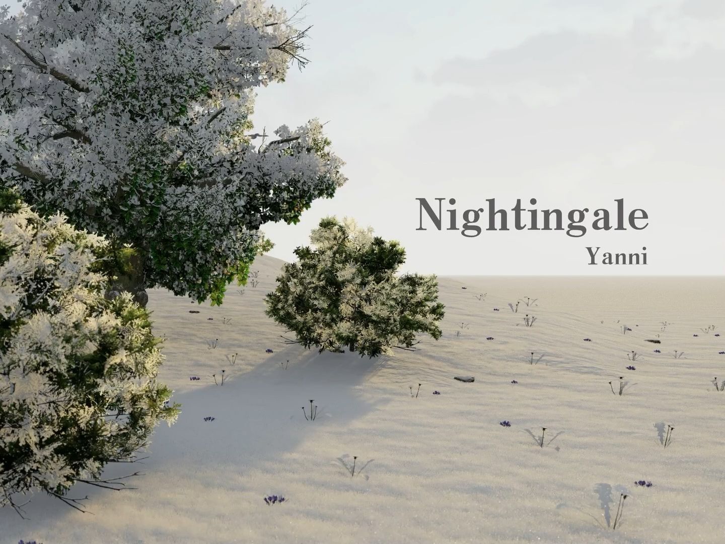 [图]雅尼Yanni《Nightingale》臻品全景声音乐