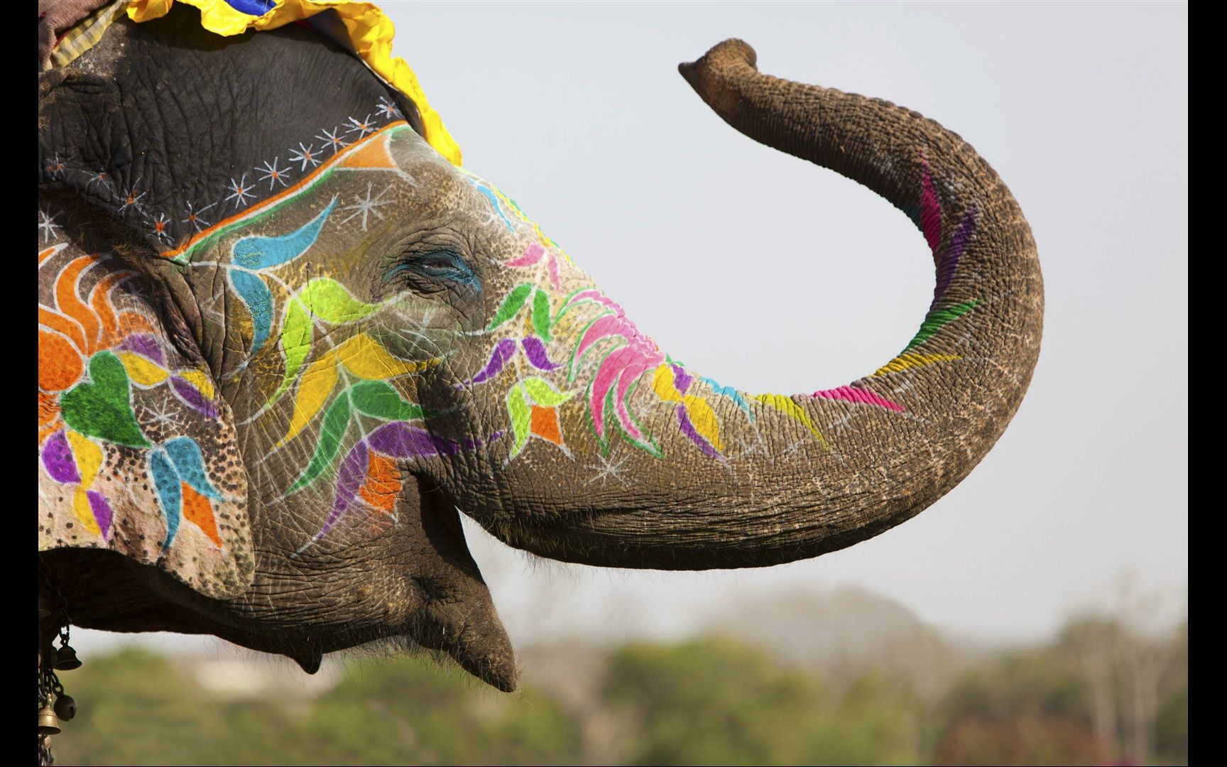 王泽旭·抖音创业方法论78fmpk6666