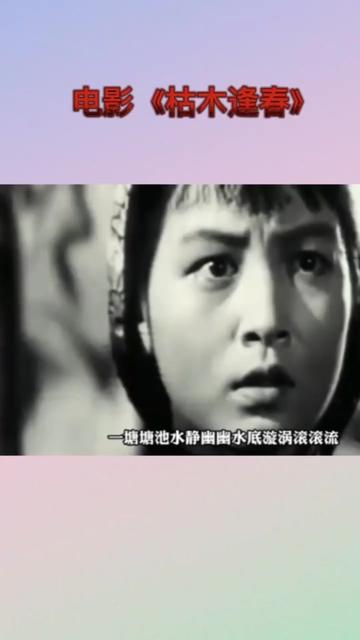 1961年上海电影制片厂哔哩哔哩bilibili