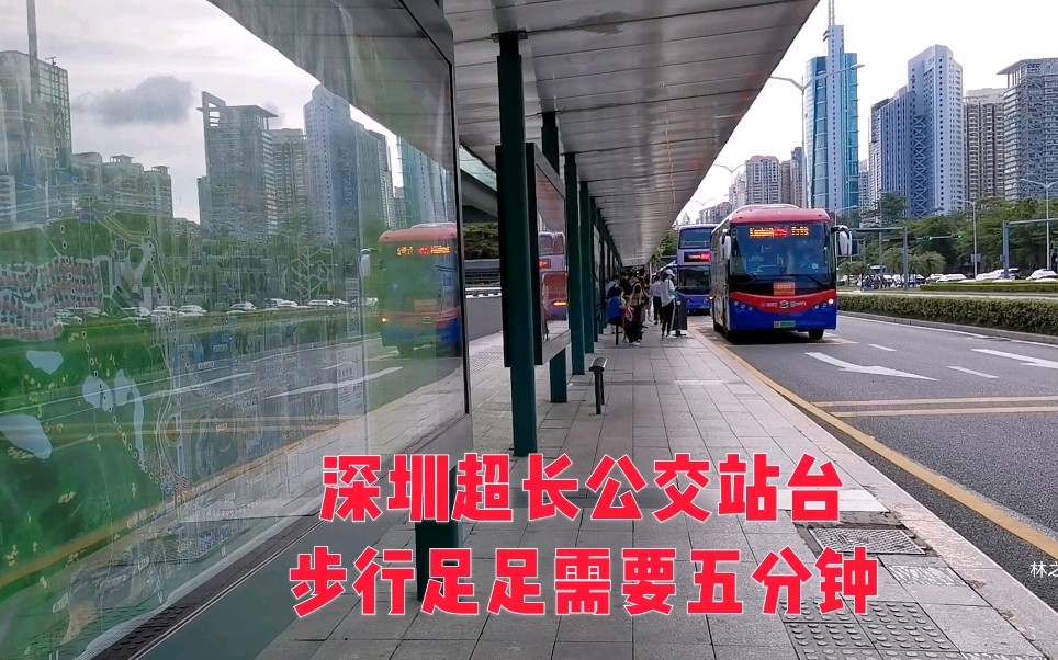 深圳超长公交站台从头看不到尾绘就城市一道风景线
