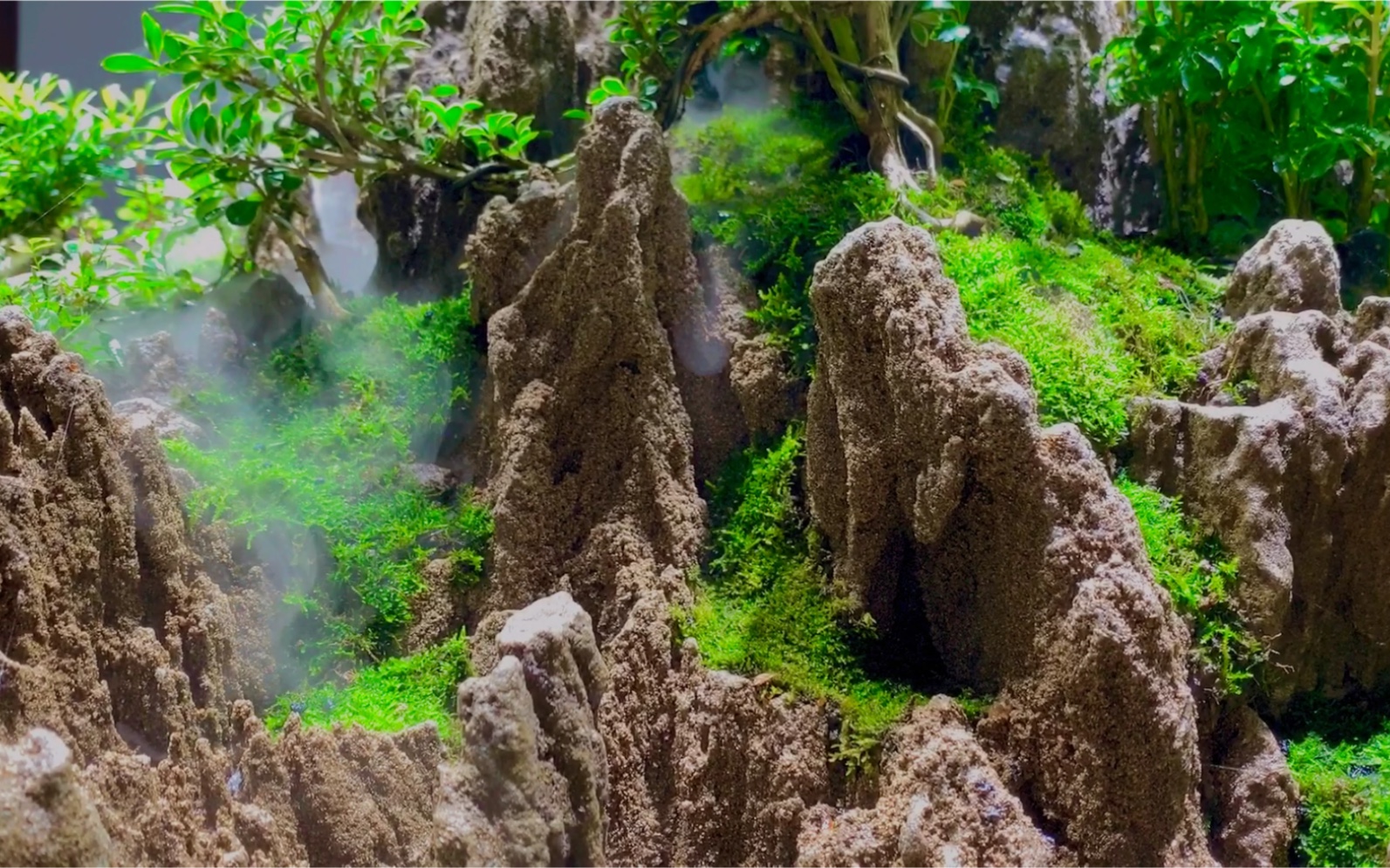 请欣赏四面观赏青龙石水陆景观