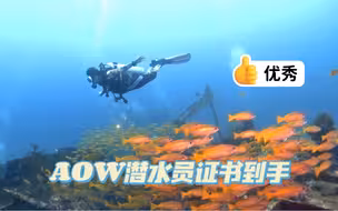 小姐姐顺利拿到AOW潜水证书……棒棒哒坐标：菲律宾PG海豚湾