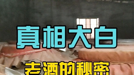 你知道酒厂的老酒都藏在哪里吗?哔哩哔哩bilibili