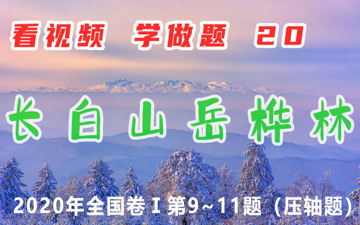 [图]看大片 讲真题 20 | 2020全国乙卷 长白山岳桦林