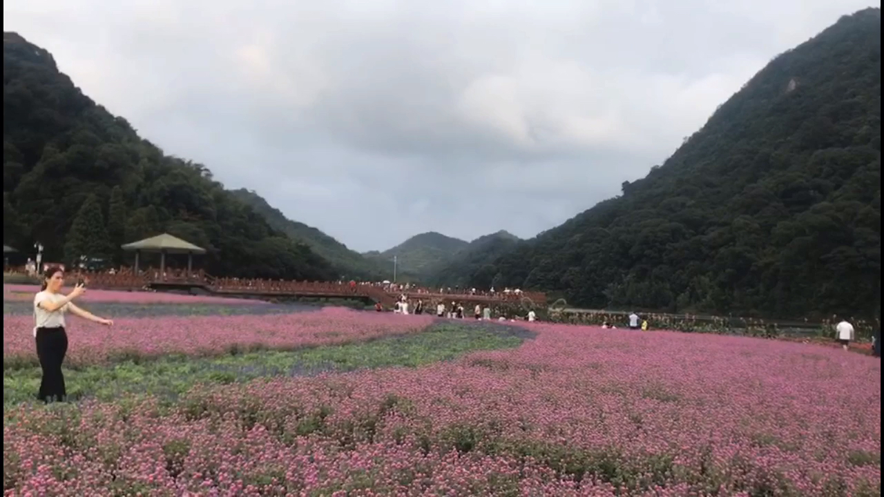 石门国家森林公园哔哩哔哩bilibili