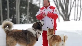 好萌 普京的保加利亚牧羊犬buffy 真的好萌 哔哩哔哩 つロ干杯 Bilibili