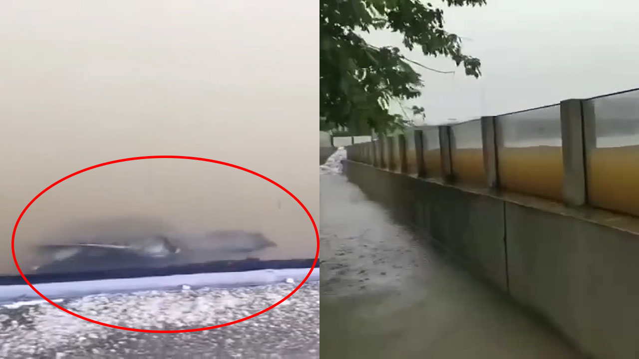 余姚水位上升姚江玻璃堤坝秒变水族馆鱼和乌龟都来了