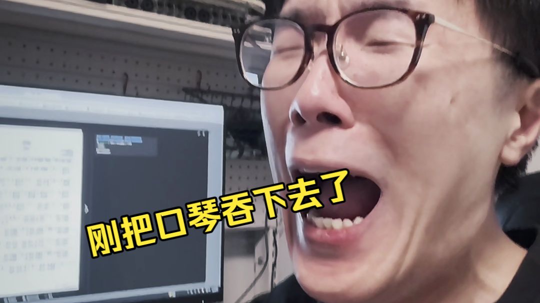 我刚把口琴吞下去了海报