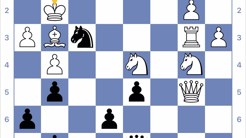 带你来刷国际象棋马头书(清除保护)