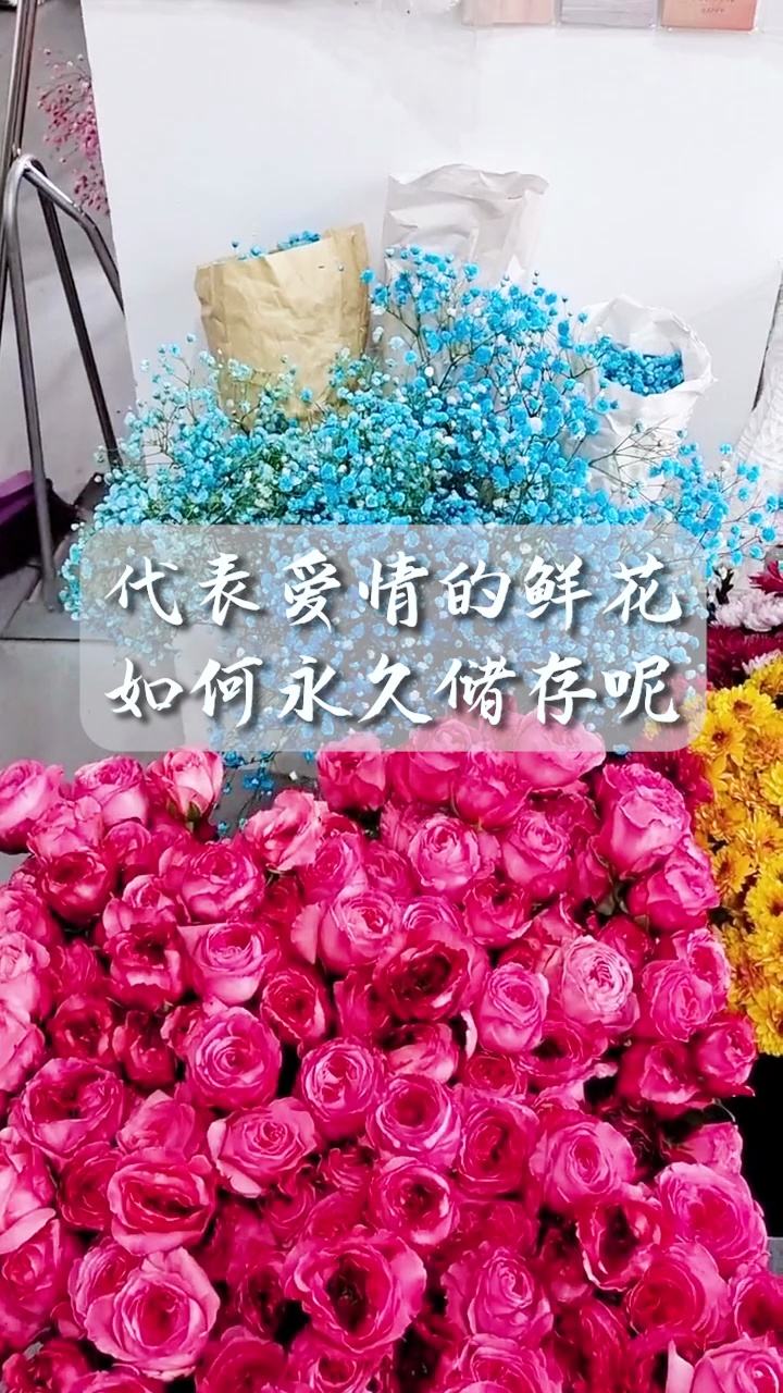 鲜花变干花,还得看它#鲜花干燥剂哔哩哔哩bilibili