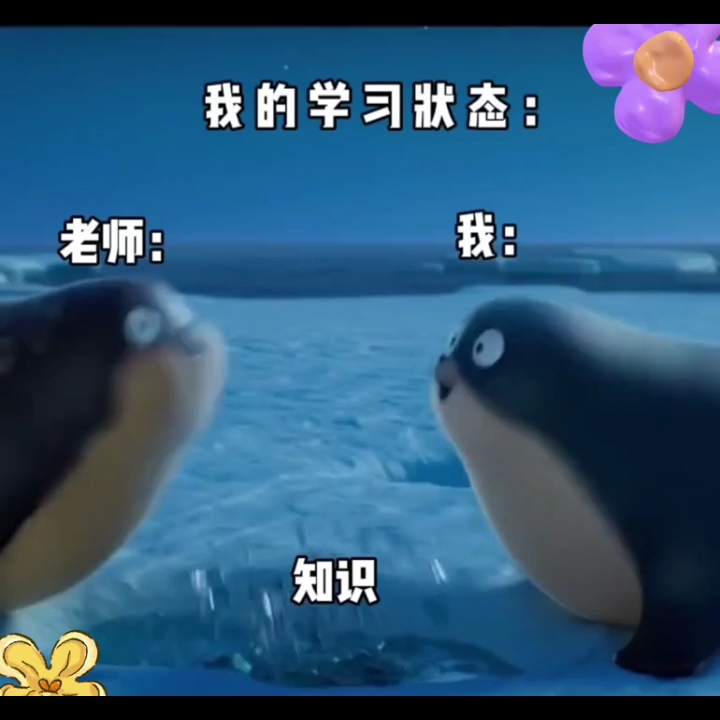 学生必看哔哩哔哩bilibili