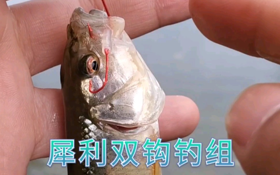 自制双钩瓜子线组路亚马口