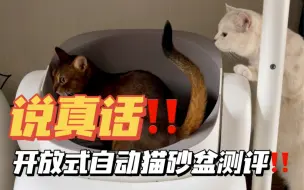 下载视频: 啊啊啊，养猫必看！优缺点一起说！！想买自动猫砂盆的靠过来