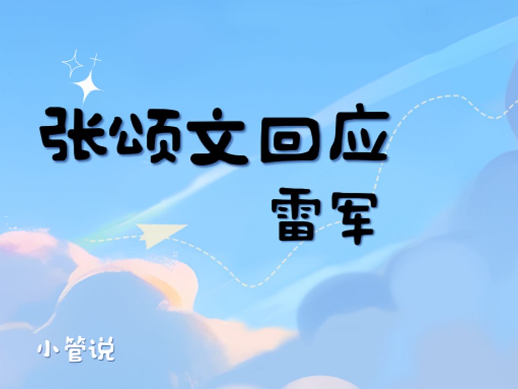 张松文回应雷军哔哩哔哩bilibili