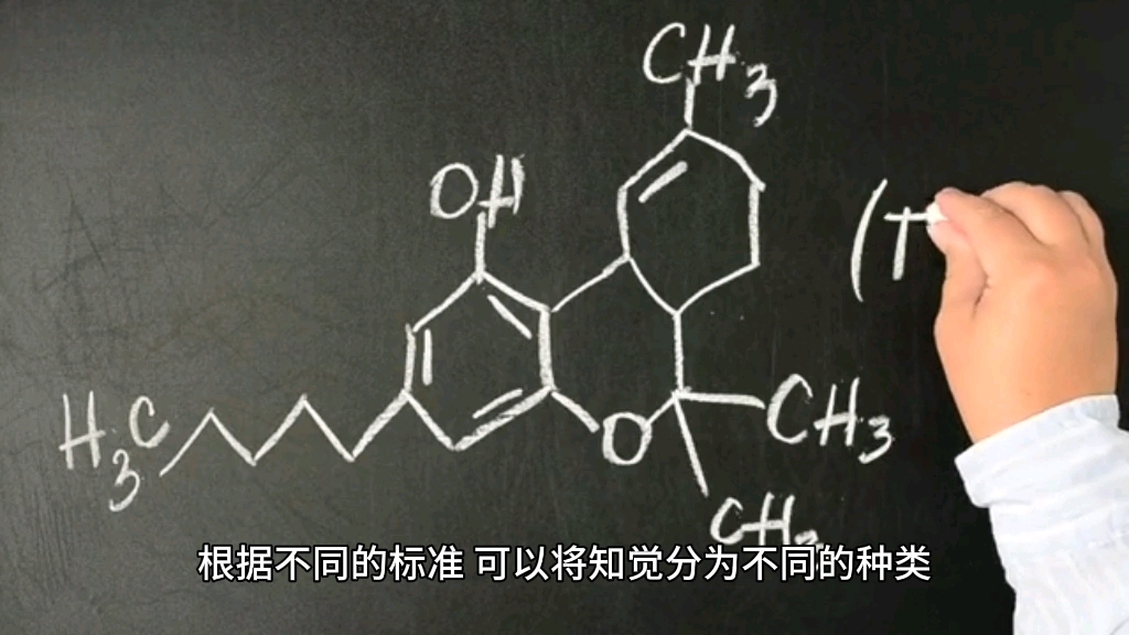 [图]知觉的种类，不同的标准可以分为不同的种类