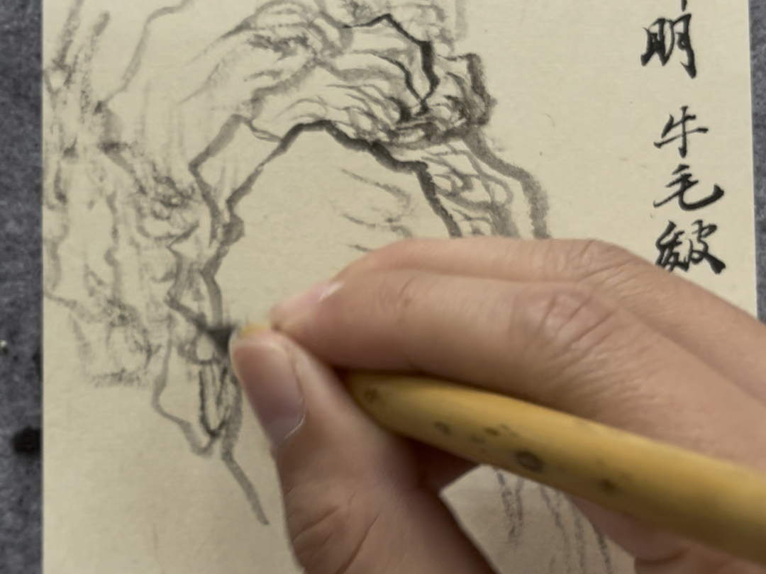 校级精品课项目《中国画一》石法:王蒙牛毛皴