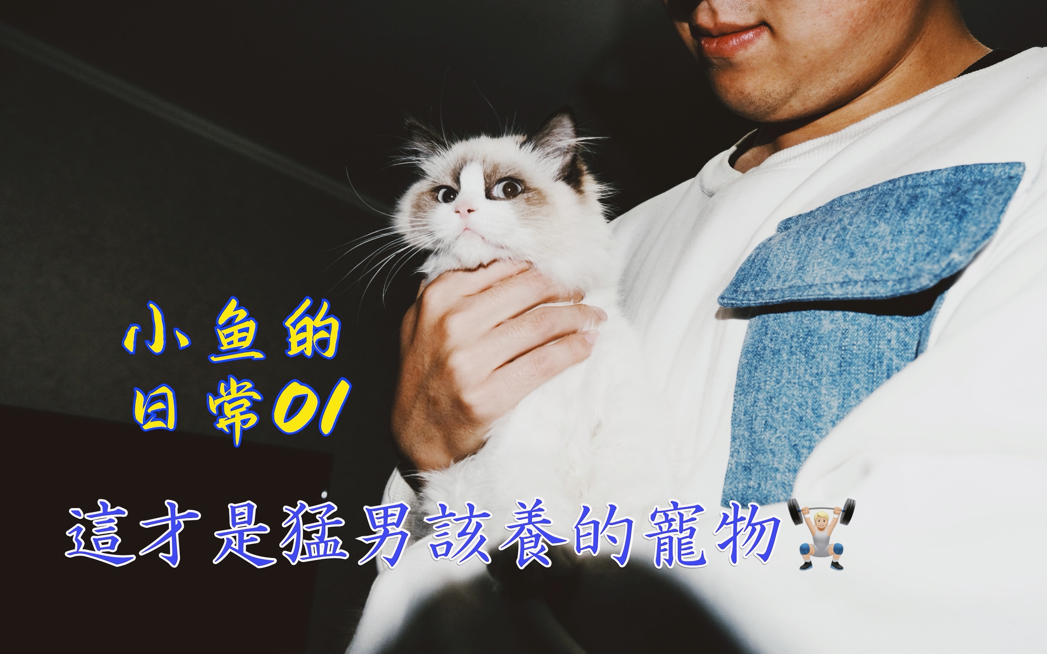 [图]「新相机」猫 片。（这才是猛男该养的宠物！）