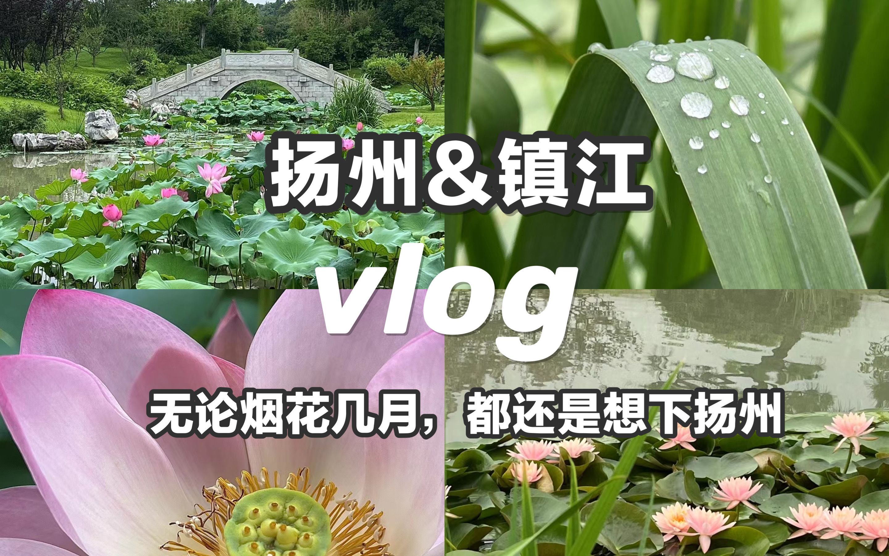 [图]扬州&镇江vlog 不止烟花三月/去寻找水淹金山的传说/大学生暑假旅行图鉴