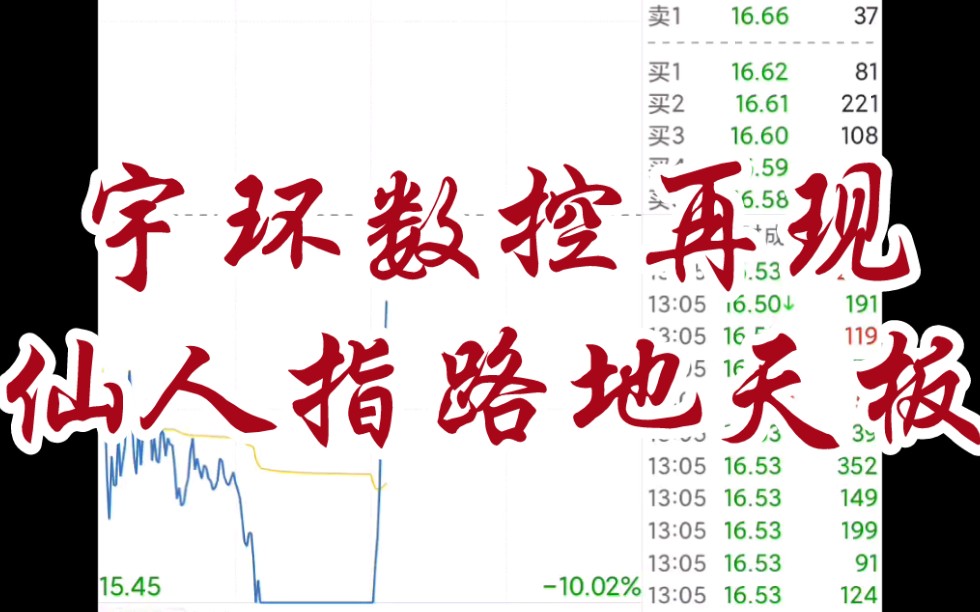 宇环数控再现天地板,仙人两次指路.隆基股份,亚钾国际,东方铁塔,通策医疗,天保基建,贵州茅台,九安医疗哔哩哔哩bilibili