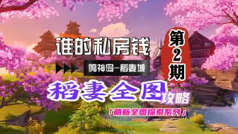 Download Video: 稻妻全图攻略2期：大舅哥的私房钱？