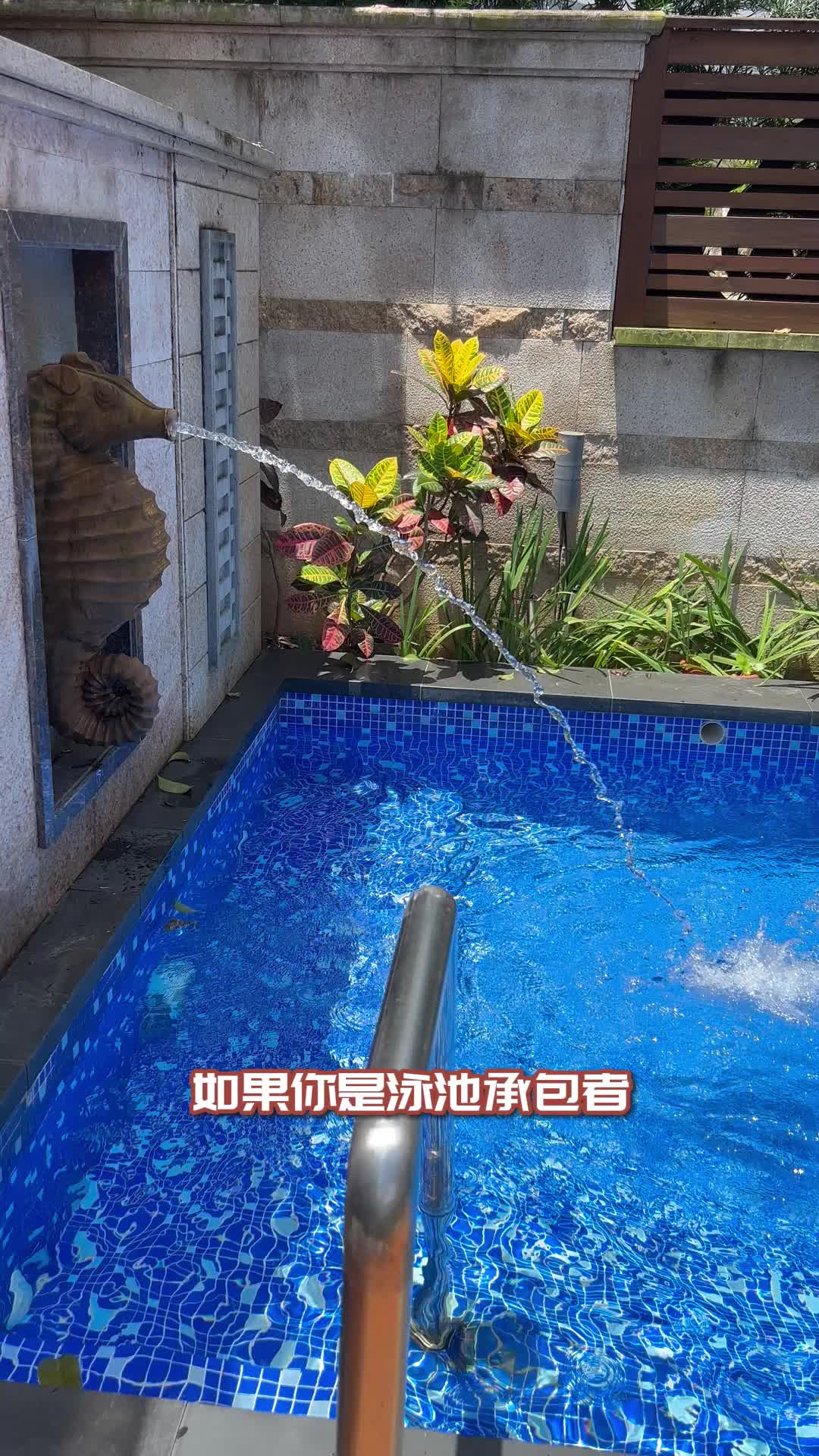 一款简单易用的泳池水处理剂是什么样的?哔哩哔哩bilibili