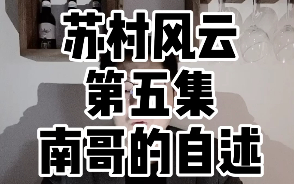 苏村风云第5集—江苏南京真的最难的省会了哔哩哔哩bilibili