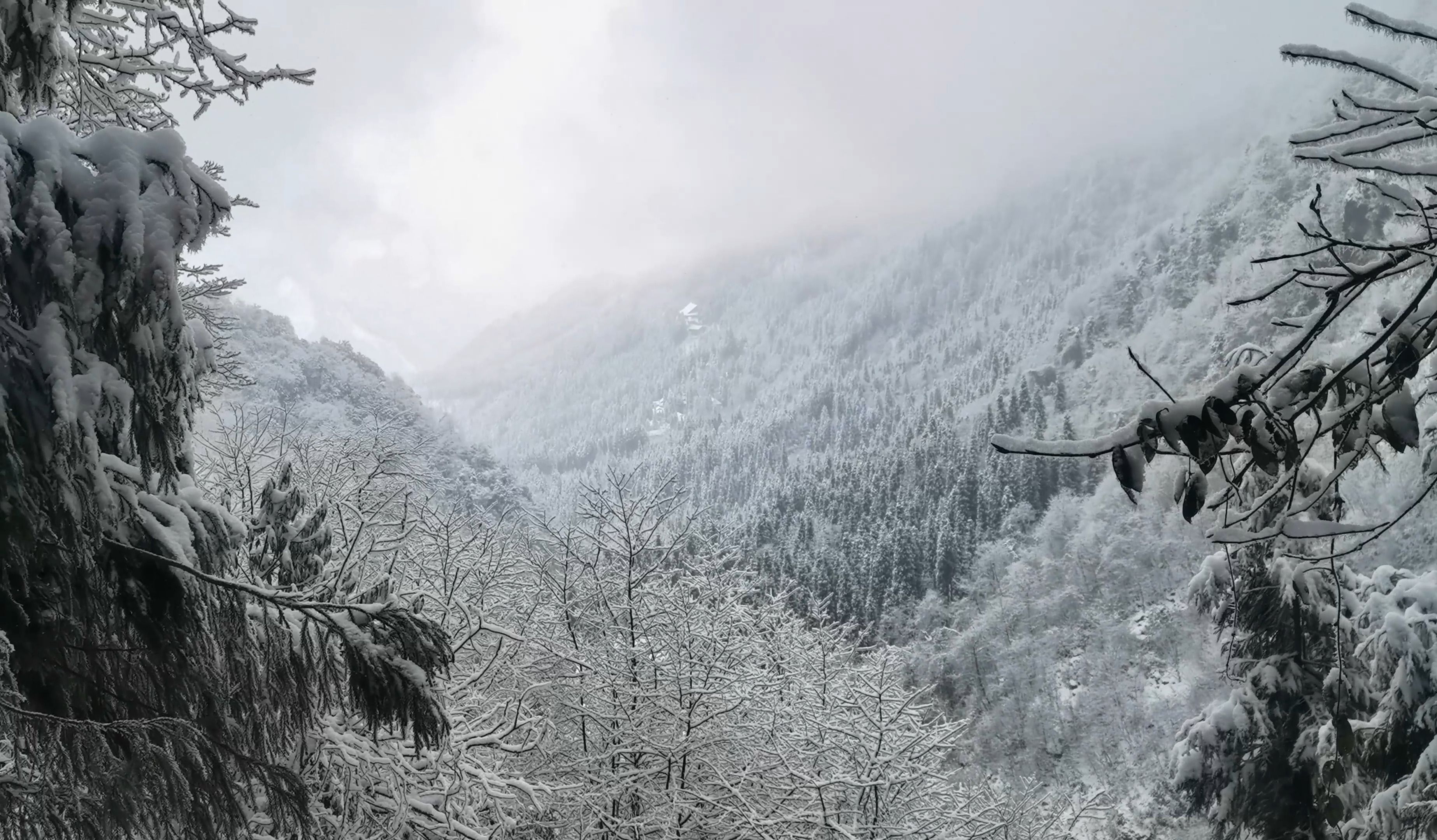 [图]成都难得的下雪 出去看雪景啦