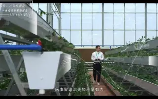 智慧农业宣传片短视频