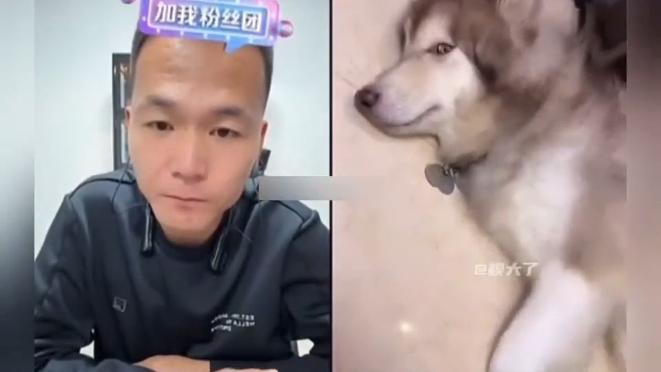 潘宏挣救饿犬名场面，幸亏连麦了，不连麦饿死了！