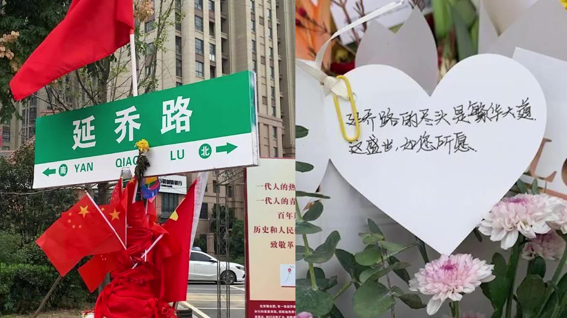 国庆期间合肥延乔路又被鲜花包围了,市民留言:山河无恙盛世如愿哔哩哔哩bilibili